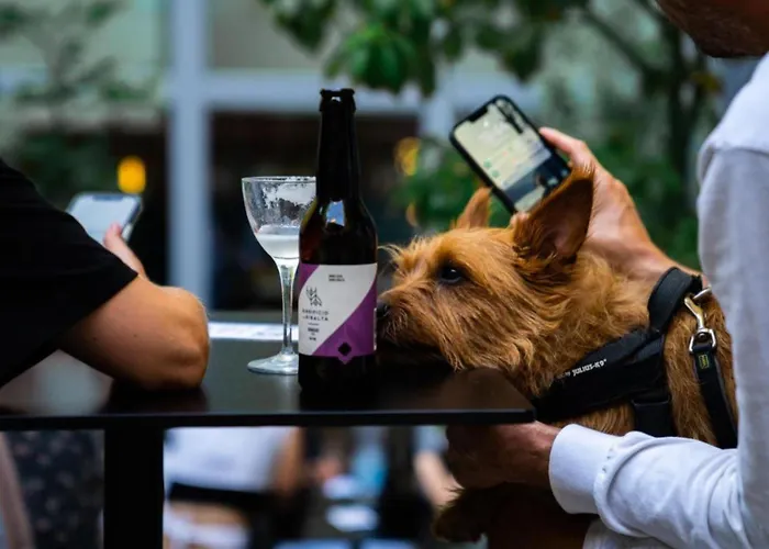 21 House Of Stories Citta Studi 3* Milánó